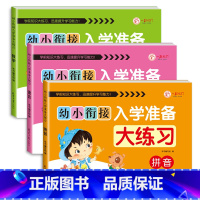 拼音+数学+语言 全3本[共234页] [正版]幼小衔接入学准备大练习试卷测试卷 幼升小衔接练习册数学+拼音练习题 大班