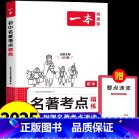 名著考点精练 初中通用 [正版]2025版初中生名著阅读速读考点速记+精练七八九年级中考语文课内外基础知识点导读真题练习