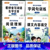 课文内容+看拼音写词语+句子训练+阅读理解[4本] 二年级下 [正版]2024年新版一二年级阅读理解看拼音写词语句子训练