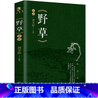 野草赏读 [正版]野草 鲁迅 书籍六年级好的故事 鲁迅的野草散文集全集杂文集经典书籍作品全套小说鲁迅的书散文集精选原著无