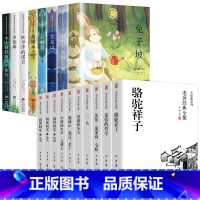 [全18册]纽伯瑞+老舍经典全集 [正版]纽伯瑞国际儿童文学金奖小说系列全套8册 中小学生名师三四五六年级阅读的课外书籍