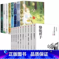 [全18册]纽伯瑞+老舍经典全集 [正版]纽伯瑞国际儿童文学金奖小说系列全套8册 中小学生名师三四五六年级阅读的课外书籍