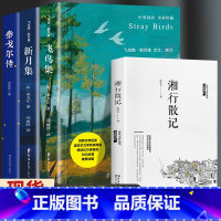 [共4册]飞鸟集+新月集+湘行散记+泰戈尔传 [正版]飞鸟集新月集泰戈尔著生如夏花诗选选集全2册中英双语版全新精美彩图典