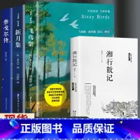 [共4册]飞鸟集+新月集+湘行散记+泰戈尔传 [正版]飞鸟集新月集泰戈尔著生如夏花诗选选集全2册中英双语版全新精美彩图典