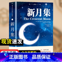 中英双语版:新月集[非彩图] [正版]飞鸟集新月集泰戈尔著生如夏花诗选选集全2册中英双语版全新精美彩图典藏英汉对照郑振铎