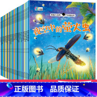 [礼盒装]奇趣大自然 全32册 [正版]奇趣大自然科普儿童故事书3一6幼儿园阅读幼儿绘本4一6岁学前故事书儿童读物睡前故