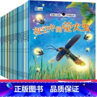 [礼盒装]奇趣大自然 全32册 [正版]奇趣大自然科普儿童故事书3一6幼儿园阅读幼儿绘本4一6岁学前故事书儿童读物睡前故