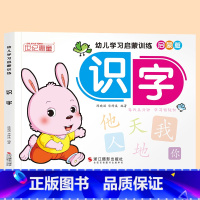 识字 [正版]英语启蒙 幼儿学习启蒙训练 26个英文字母学习幼小衔接 3-4-5-6岁儿童英语启蒙幼儿园小班中班大班练习