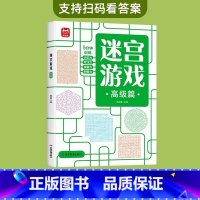 迷宫游戏(高级)8岁以上 [正版]儿童迷宫书3-4-5-6-7-8-10-12岁幼儿园到小学生分级迷宫专注力训练书一二年