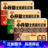 小升初真题模拟[语文+数学+英语] 小学升初中 [正版]2024新小升初真题卷语文数学英语必刷题人教版小学毕业升学总复习