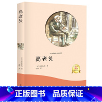 高老头 [正版]全译本无删减高老头原著书 巴尔扎克原著 经典世界文学名著外国文学长篇小说 初中生高中生课外阅读 书籍 书