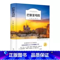 巴黎圣母院 [正版]巴黎圣母院 书原著 雨果著李玉民译 经典世界名著外国文学长篇小说 初中生高中生青少年课外阅读读书籍