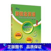 新概念英语1 课课语法大全 [正版]子金传媒新概念英语课课练全第1册习题解答 新概念英语系列专项练习书英语词汇速记练