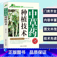 [正版]中草药种植技术新农村新技术致富金钥匙丛书专家权威版草本药用植物根茎类中草药全草类花类果实种子生长环境和条件栽培技