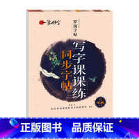 写字课课练同步字帖 5年级下册 [正版]罗扬字帖课堂笔记天天练练字帖人教版同步字帖一课一练硬笔钢笔临摹一二三四五六七八年
