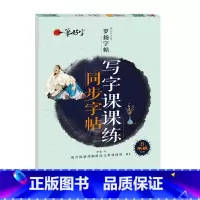 写字课课练同步字帖 8年级下册 [正版]罗扬字帖课堂笔记天天练练字帖人教版同步字帖一课一练硬笔钢笔临摹一二三四五六七八年