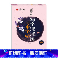写字课课练同步字帖 2年级下册 [正版]罗扬字帖课堂笔记天天练练字帖人教版同步字帖一课一练硬笔钢笔临摹一二三四五六七八年