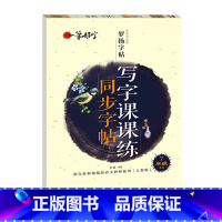 写字课课练同步字帖 7年级上册 [正版]罗扬字帖课堂笔记天天练练字帖人教版同步字帖一课一练硬笔钢笔临摹一二三四五六七八年
