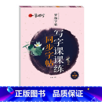写字课课练同步字帖 5年级上册 [正版]罗扬字帖课堂笔记天天练练字帖人教版同步字帖一课一练硬笔钢笔临摹一二三四五六七八年
