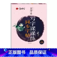 写字课课练同步字帖 5年级上册 [正版]罗扬字帖课堂笔记天天练练字帖人教版同步字帖一课一练硬笔钢笔临摹一二三四五六七八年