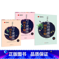 5年级上下册+英语下册 [正版]罗扬字帖课堂笔记天天练练字帖人教版同步字帖一课一练硬笔钢笔临摹一二三四五六七八年级上下册