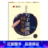 写字课课练同步字帖 7年级下册 [正版]罗扬字帖课堂笔记天天练练字帖人教版同步字帖一课一练硬笔钢笔临摹一二三四五六七八年