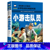 小游击队员 [正版]革命红色经典书籍8册雷锋的故事抗日英雄长征的故事铁道游击队王二小故事6-10岁小学生二年级*读课外书