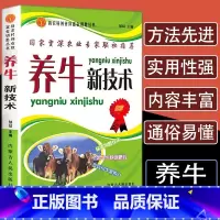 [正版]养牛新技术养殖技术书籍大全一本通繁殖母牛饲养管理技术牛病诊断及治疗全书动物营养与饲料学家禽畜牧兽医专业基础知识养