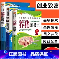 [正版]3册高效养猪技术大全书籍猪病防治实用手册饲料科学配制与应用饲养指南现代养殖生产母猪产后护理猪病鉴别诊断治疗家畜兽