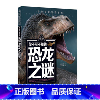 恐龙之谜 [正版]少年探索发现系列你不可不知的世界自然恐龙兵器宇宙之谜世界未解之谜中小学生科普类书籍读物少儿科学百科全三