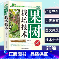 [正版]新编果树栽培技术新农村新技术致富金钥匙丛书专家权威版果树种植书果树嫁接技术常见识别知识建园基本育苗技术管理生长调