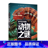 动物之谜 [正版]少年探索发现系列你不可不知的世界自然恐龙兵器宇宙之谜世界未解之谜中小学生科普类书籍读物少儿科学百科全三