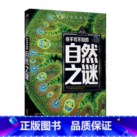 自然之谜 [正版]少年探索发现系列你不可不知的世界自然恐龙兵器宇宙之谜世界未解之谜中小学生科普类书籍读物少儿科学百科全三