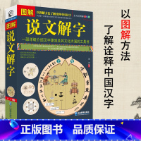 [正版]图解说文解字古代汉语说文解字注认知语言学象形文字汉语史稿汉字的演变语言与文化中国字中国语言学史分析字形字源的文学