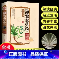 [正版]彩色图鉴神农本草经医基础理论自学百日通中医书籍大全中草药全图鉴方剂学中药材中国药典医学医学类书籍草药书思考中医药