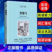 [正版] 中英对照 读名著学英语 黑骏马 英文版中文版 英汉对照 中英文双语世界名著小说书籍经典文学中小学生课外阅读书
