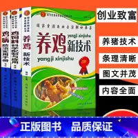 [正版]全3册高效养鸡系列养鸡书籍大全技术书常见病防治实用手册鸡饲料科学配制与应用饲料配方大全养鸡新技术畜牧养殖鸡病鉴别