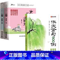[3册]作文金句800例+大作家写给孩子的小散文 小学通用 [正版]作文金句800例 同步作文金句八百例超级作文本学