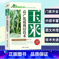 [正版]玉米高产优质栽培技术新农村新技术致富专家权威版生产概况与发展前景良种选择与新品种施肥与管理栽培技术病虫草害防治技