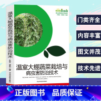 [正版]温室大棚蔬菜栽培与病虫害技术农业种植系列读物简易保护措施优质高产栽培技术茄果类绿叶菜豆类特种蔬菜优质高产技术加工