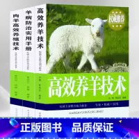 [正版]高效养羊大全全套3册肉羊高效养殖技术羊病综合预防治疗实用手册快速诊治波尔黑山羊养殖技术羊舍圈建造养羊技术书籍大全