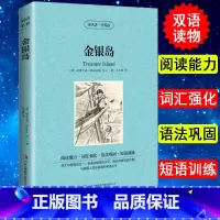 [正版]金银岛英汉对照双语英文原版+中文版读名著学英语斯蒂文森世界名著小说名著中英对照双语版学生*看英语