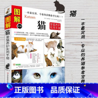[正版]图解猫爱猫养护实用手册养猫书籍宠物书籍猫咪品种大全养猫书猫咪图鉴猫名猫猫书新手养猫关于猫的书参考宝典猫猫咪家庭医