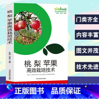 [正版]桃梨苹果高效栽培技术农业种植果树种植书桃梨苹果优良品种介绍建设与栽培管理病虫害防治工作科学先进全面实用简易致富新