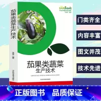 [正版]茄果类蔬菜生产技术农业种植系列读物茄子的优良品种现代化育苗高效益栽培番茄品种与育苗高效益番茄栽培辣椒的品种和育种