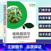[正版]核桃栽培与病虫害防治技术农业种植系列读物概述核桃的种类与优良品种培育建园与园地管理与修剪主要病虫害嫁接苗木培