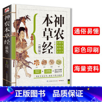 [正版]精版神农本草经中医基础理论自学百日通中医书籍大全中草药全图鉴方剂学中药材中国药典医学医学类书籍草药书思考中医药性
