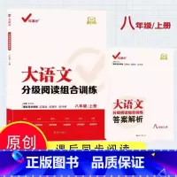 大语文分级阅读组合训练 八上 初中通用 [正版]2023新版红满分大语文分级阅读组合训练789年级上册课后同步阅读训练册