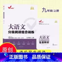 大语文分级阅读组合训练 九上 初中通用 [正版]2023新版红满分大语文分级阅读组合训练789年级上册课后同步阅读训练册