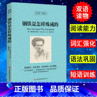 [正版] 读名著 学英语 钢铁是怎样炼成的 双语阅读英文原版+中文版英汉互译 世界经典文学名著小说 初高中学生课外阅读世